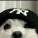 姚先生的个人头像